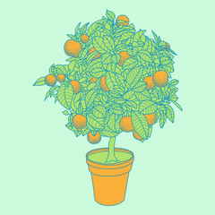 Drawing of a small tangerine tree in a pot in contour style.