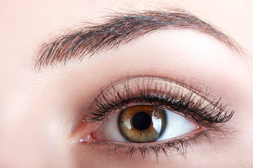 Naklejka premium brown eye