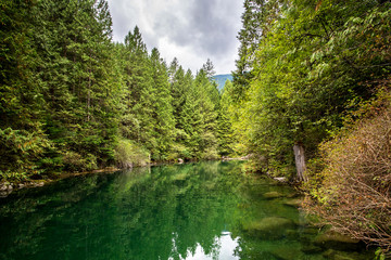 amazing emerald waters of a quiet river in the middle of a forest of pines trees in the rocky...