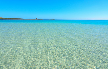 turquoise water in La Pelosa