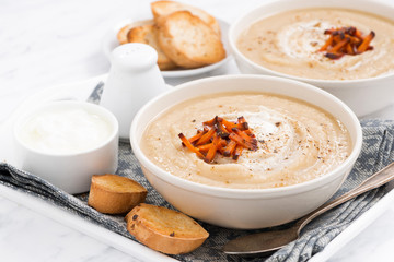 spicy vegetable soup with croutons and caramelized carrots