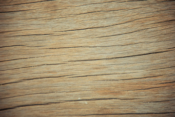 The wood texture of background old panels
