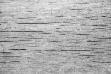 Obraz premium The wood texture of background old panels