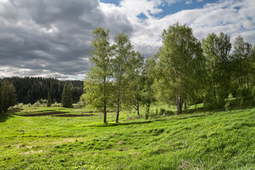 spring landscape