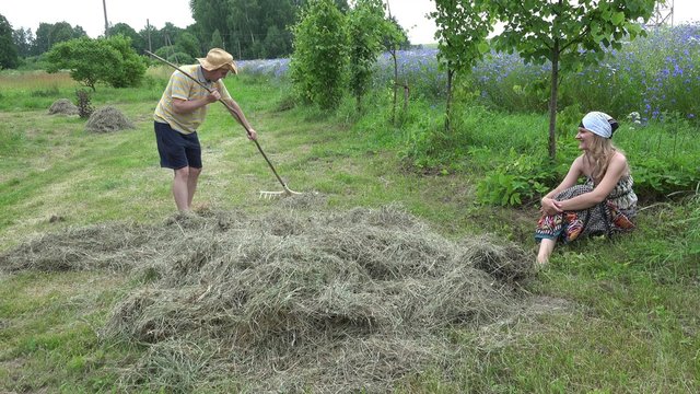 young countryman rake dry hay and happy woman sit near cornflower field in windy day. 4K UHD video clip.
