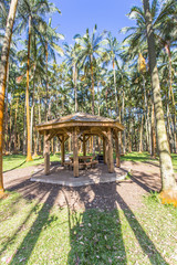 kiosque, aire de pique-nique, Anse des Cascades, île de la Réunion