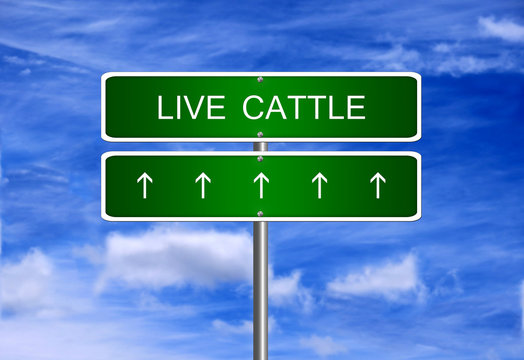 Live cattle price diet investment trading arrow going up rising strong industry bull market concept.