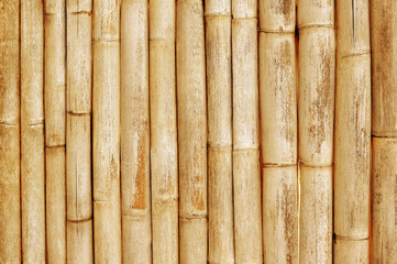 Bamboo fence background