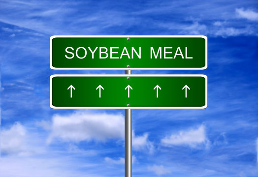 Soybean meal price diet investment trading arrow going up rising strong industry bull market concept.