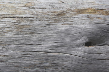 Grey wood texture with natural patterns background. This is drift wood log washed up at beach - obrazy, fototapety, plakaty