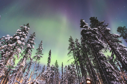 Beautiful picture of massive multicoloured vibrant Aurora Borealis, Aurora Polaris, also know as Northern Lights in the night sky over winter Lapland landscape 
