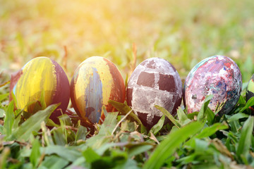 Easter eggs in grass