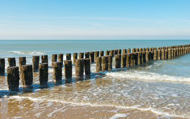 Fototapeta premium Rows of poles of the breakwater diagonal in the image