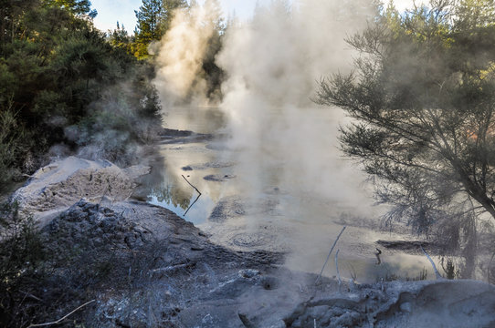 Mud pool in the Wai-o-tapu geothermal area, near Rotorua, New Ze
