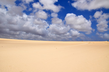 Fototapeta na wymiar Fuerteventura canary island