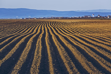 Furrows row pattern in a plowed land prepared for planting potatoes crops in spring in Transylvania region, Romania.