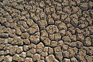  Cracked ground. Dry land. Desert landscape background. Global warming concept. top view