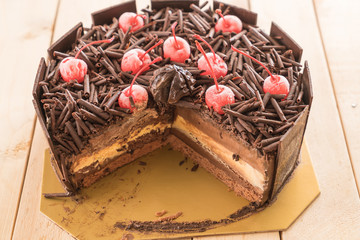 chocolate ice-cream cake