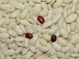 фасоль красная и белая 