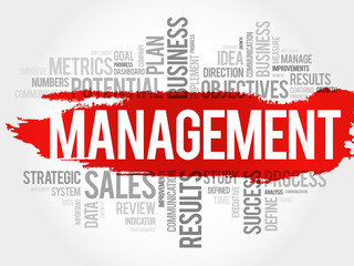 Management word cloud, business concept background