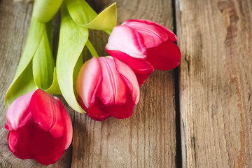 tulips on a wooden background