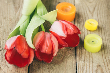 tulips on a wooden background