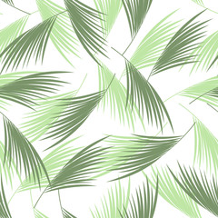 Tropical palm leaves seamless pattern. . Floral background. Vector illustration