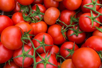 red tomatoes background. Group of tomatoes