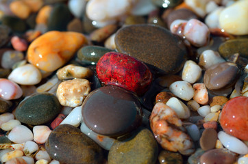 Sea pebbles on the beach