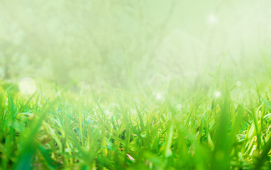 Abstract nature grass with bokeh and glowing light, blurred and