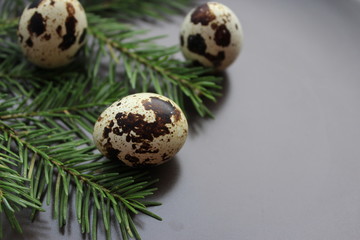 Obraz premium яйца