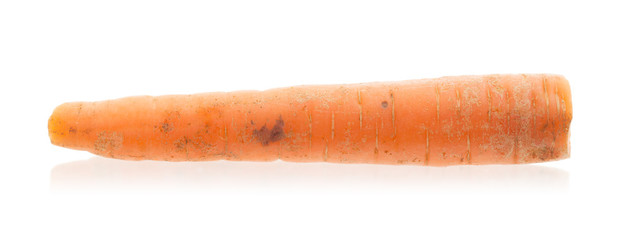 Fresh carrot isolated