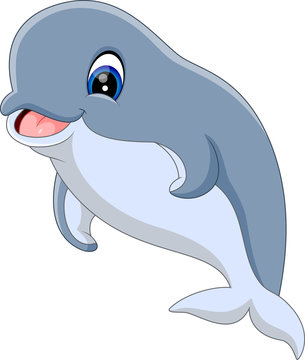 illustration of cute dolphin cartoon 
