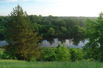 River landscape and wood