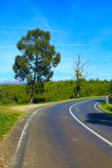 Fototapeta premium Curve way of asphalt road in the green view
