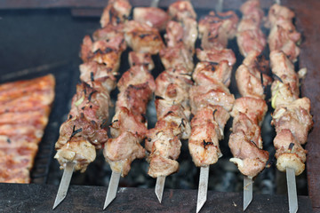 meat skewers on the barbecue coals