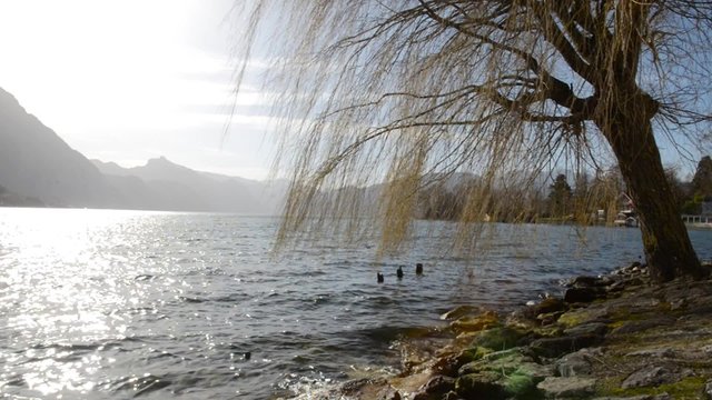 Beautiful scenery at lake Traunsee in Gmunden Upper Austria near Traunstein on a wonderful sunny morning in spring