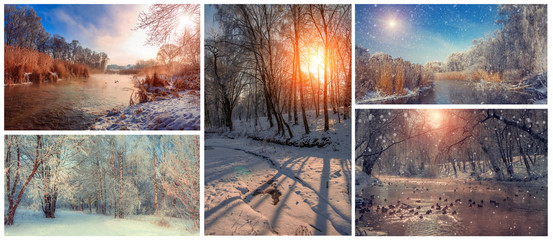 composition winter scenery