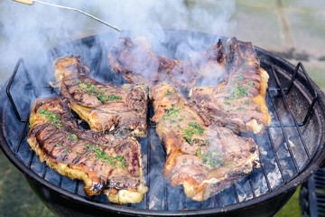 Outdoor Barbecue Meat in the Country. /  Roast beef, cooked in the outdoor barbecue in a rural location. Sauce: olive oil, salt, parsley.