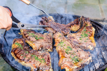 Outdoor Barbecue Meat in the Country. /  Roast beef, cooked in the outdoor barbecue in a rural location. Sauce: olive oil, salt, parsley.