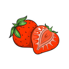 Vector Strawberry illustration on white background