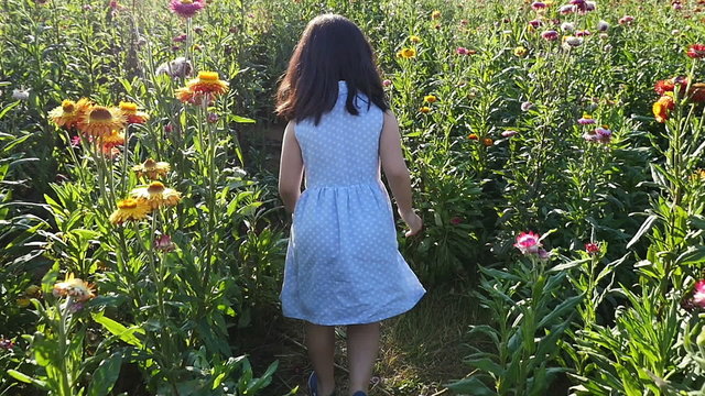 Happy Asian girl walking in the flower field with sunlight, Slow motion shot