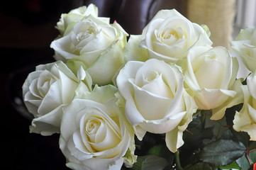 Bouquet of white roses