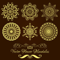 Set from Vector Gold Floral Mandala over dark brown