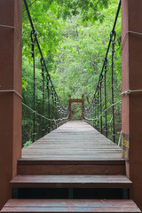 Wire Rope bridge