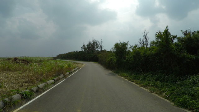 Driver POV through the sugar cane fields in Okinawa.