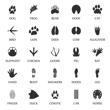 Animal Tracks Set 25 Black Simple Icons. Animal, Car, Human Print Icon Design For Web And Mobile.