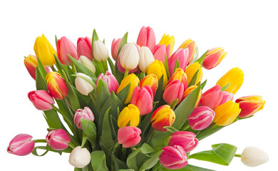 Bunter Tulpenstrauß