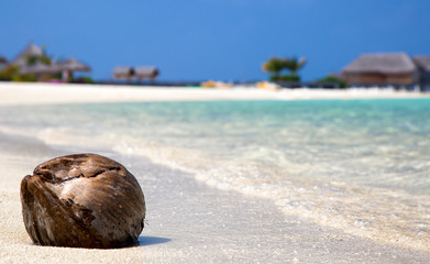 Nahaufnahme einer Kokosnuss am Strand der Malediven