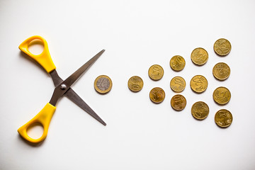 Euro money budget cuts